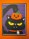Black cat